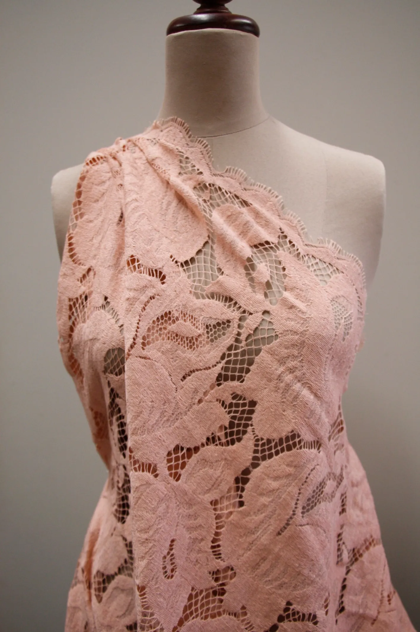 Apricot Lace