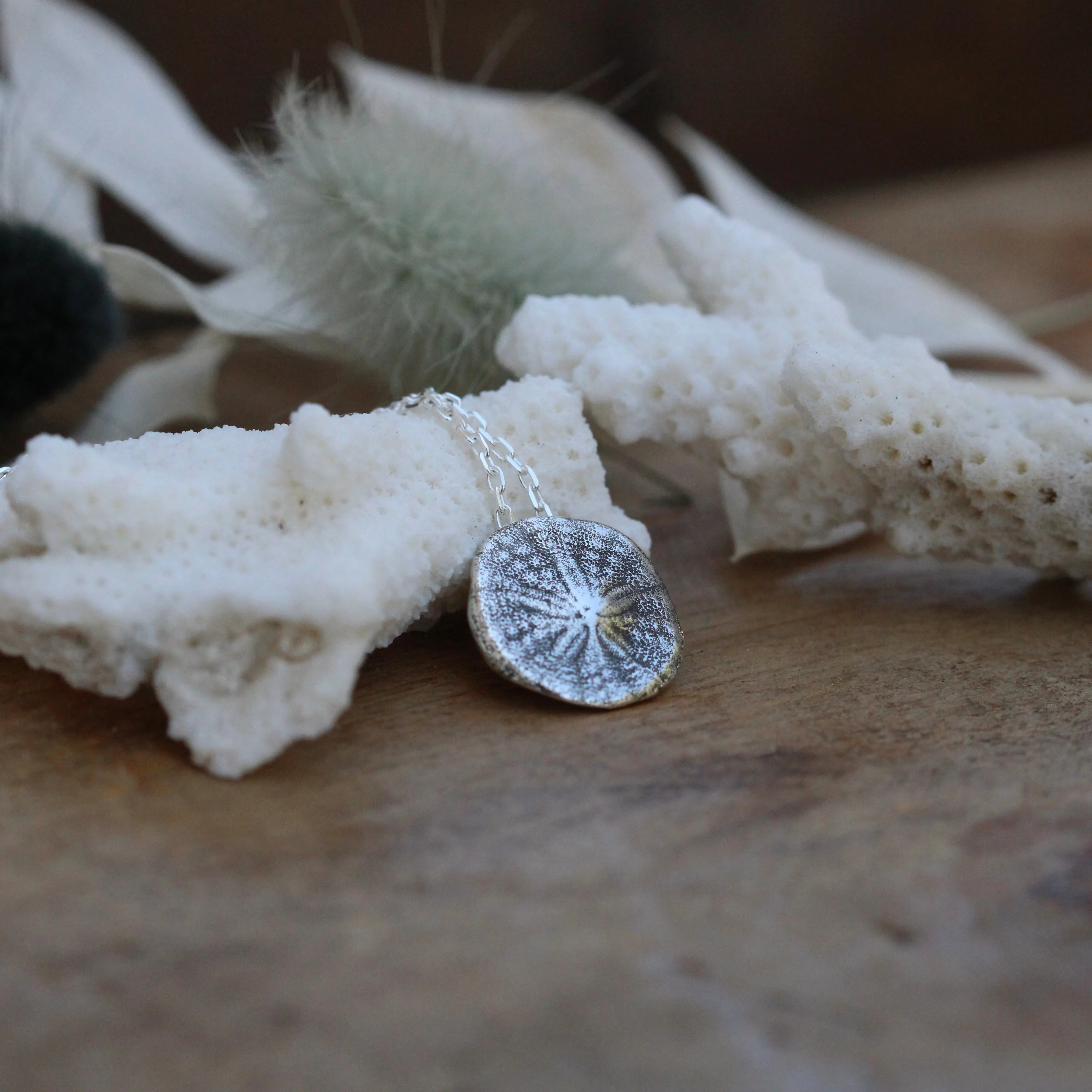 beach comber Sterling Silver Pacific Coast Sand Dollar Necklace